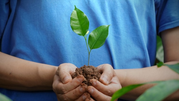 Une personne tenant une petite plante dans ses mains