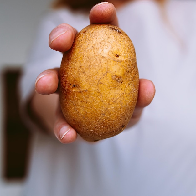 personne tenant une pomme de terre brune dans sa main