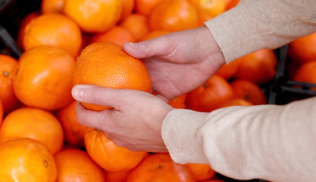 Une personne tient une orange devant un tas d'oranges.