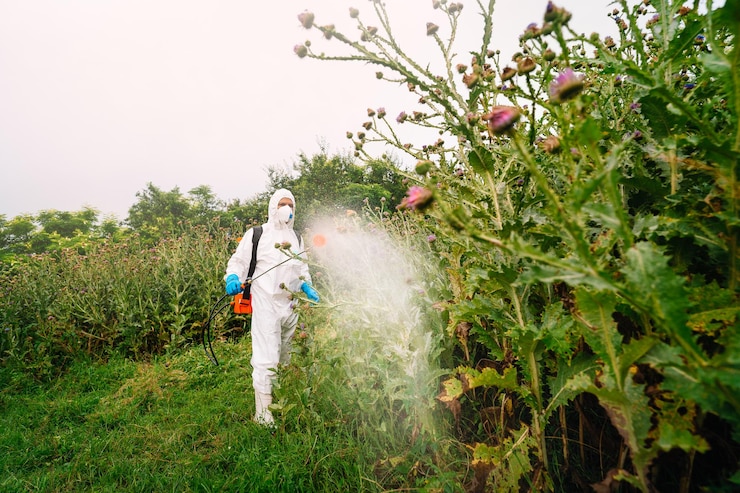 Photo personne en vêtements de travail de protection et masque à toute longueur pulvérisant des mauvaises herbes avec un herbicide sur le champ