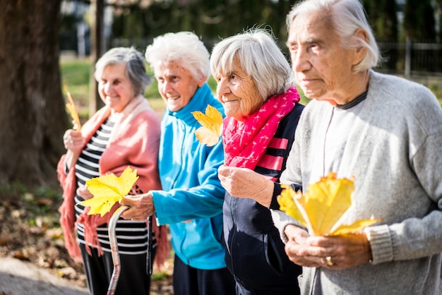 Personnes âgées dans le parc ensemble