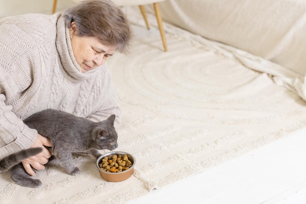 Les personnes âgées prennent soin des chats et en profitent à la maison