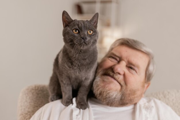 Les personnes âgées prennent soin des chats et en profitent à la maison