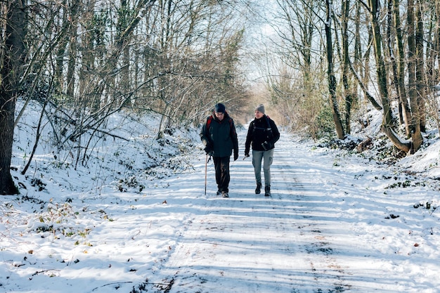 Personnes âgées randonnées dans la nature enneigée en hiver froid activité de loisirs à la retraite