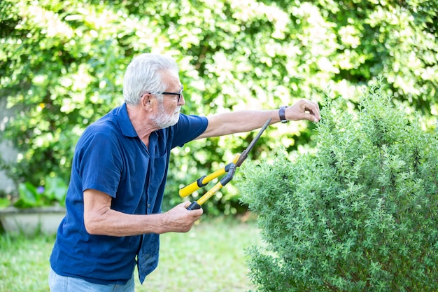 personnes aînées, faire, jardinage, dans, maison