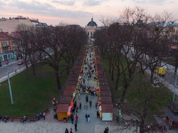 Personnes sur l'exposition de nourriture de rue de la foire alimentaire dans le parc de la ville