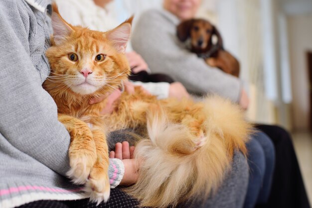 Les personnes avec leurs animaux de compagnie attendent un examen médical à la clinique vétérinaire.