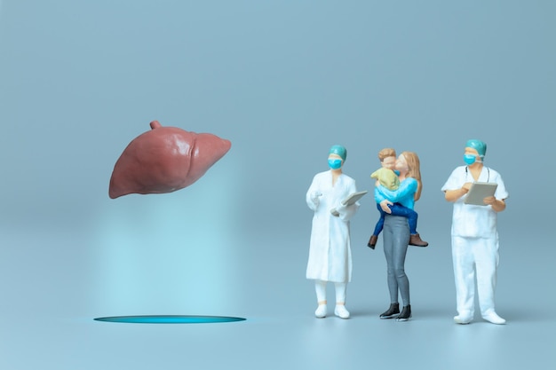 Personnes miniatures Médecin étudiant et traitant le concept de la Journée mondiale de la santé du foie humain