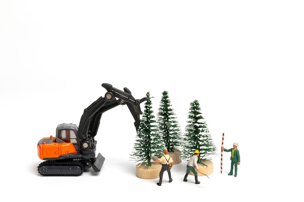 Personnes miniatures, travailleur préparant l'arbre de Noël sur fond blanc, concept de Noël et bonne année.