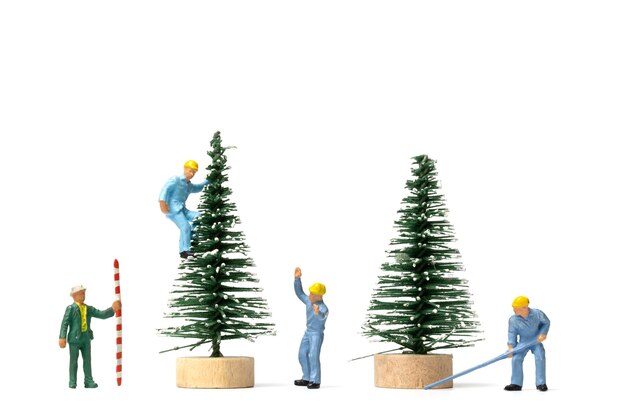 Personnes miniatures, travailleur préparant l'arbre de Noël sur fond blanc, concept de Noël et bonne année.