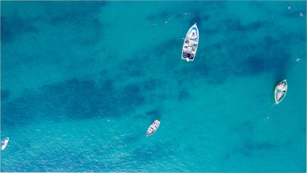 Personnes pratiquant le paddleboard sur la mer