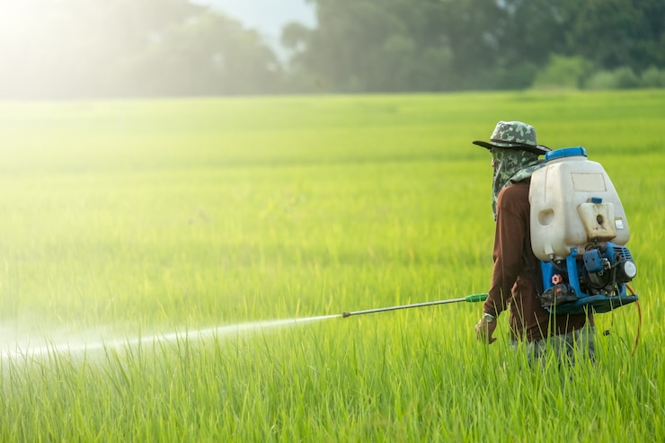 Photo personnes pulvérisant des pesticides dans une ferme avec espace de copie.