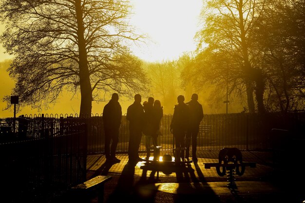 Des personnes en silhouette debout près des arbres contre le ciel au coucher du soleil