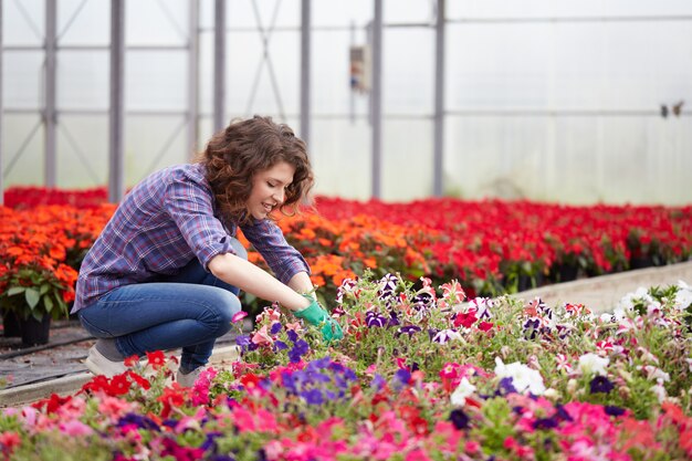 Personnes travaillant dans un magasin de jardinage