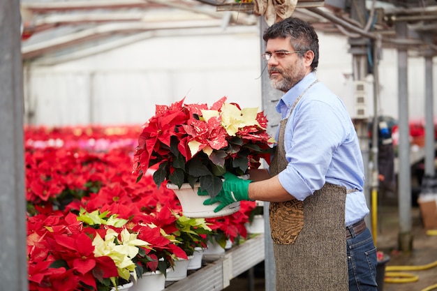 Personnes travaillant dans un magasin de jardinage