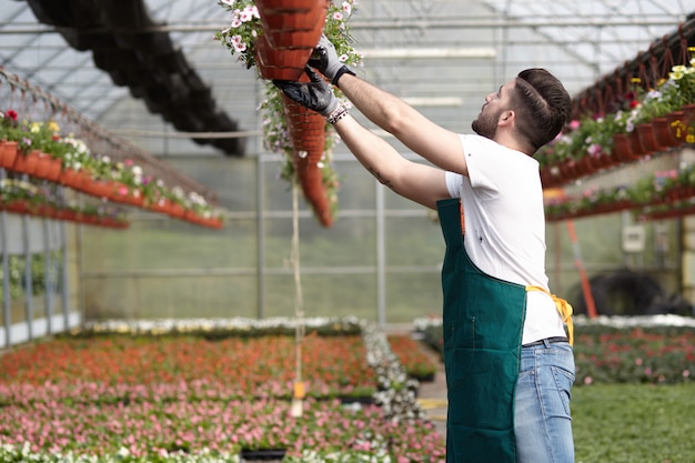 Personnes travaillant dans un magasin de jardinage