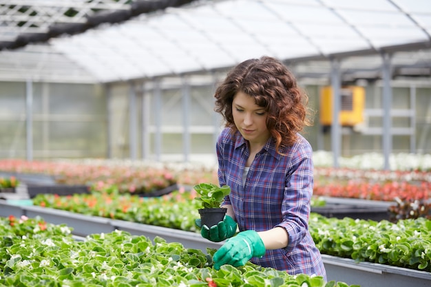 Personnes Travaillant Dans Un Magasin De Jardinage