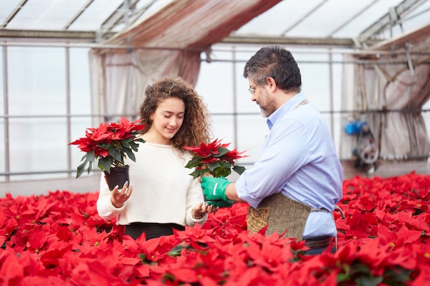 Personnes travaillant dans un magasin de jardinage