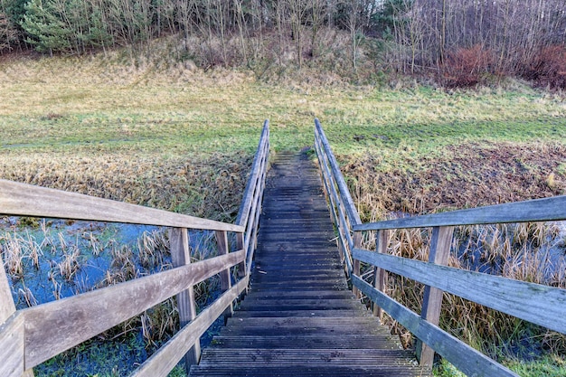 Photo perspective d'angle supérieur des marches et de la rampe d'escaliers en bois au-dessus d'un ruisseau avec une végétation sauvage nue en arrière-plan thor park parc national hoge kempen journée d'automne à genk belgique