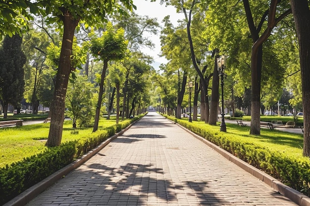 Perspective du sentier dans l'ancien parc d'été