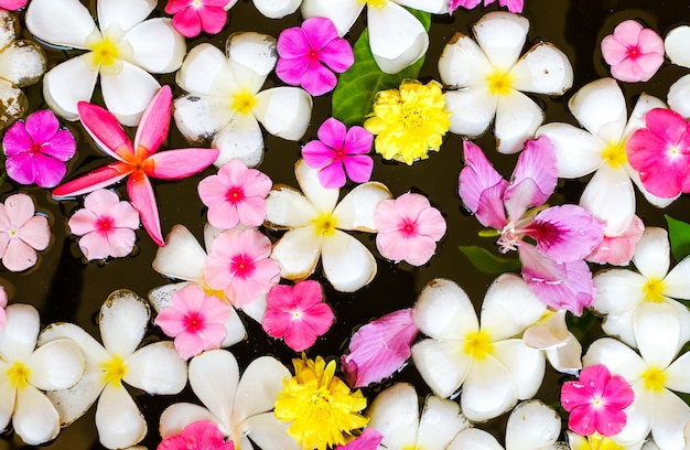 Pétales de fleurs dans un bol