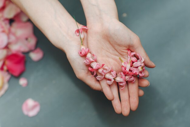 Pétales de fleurs roses dans les mains de la femme