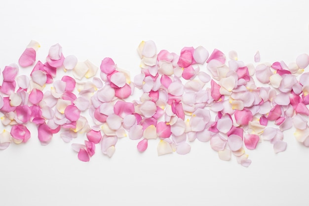 Pétales de fleurs roses pastel sur fond blanc. Mise à plat, vue de dessus, espace de copie.