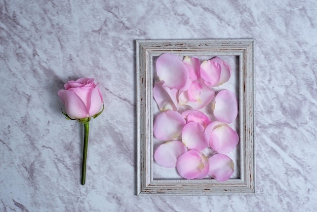 Pétales de rose enfermés dans un cadre en bois Concept de séparation