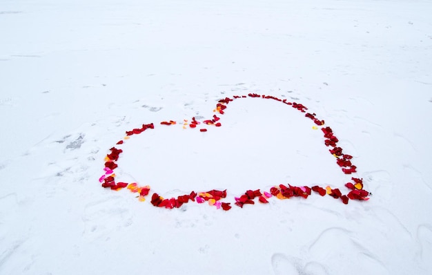 Pétales de rose en forme de coeur sur la glace dans la nature