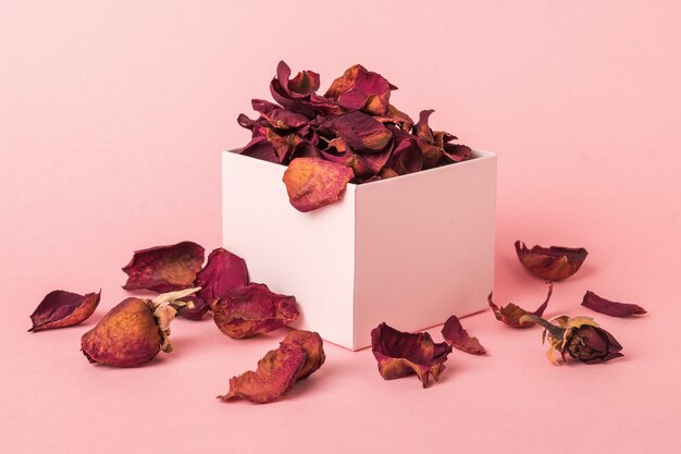 Pétales de rose secs dans une boîte en carton sur une surface rose