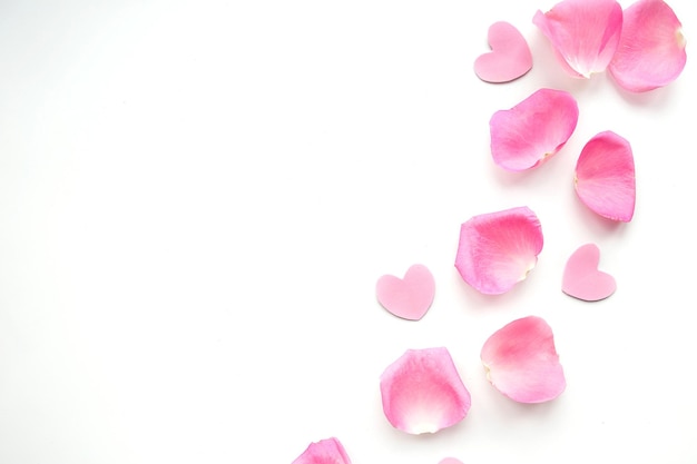 Pétales de roses roses sur fond blanc Concept de la fête de la Saint-Valentin