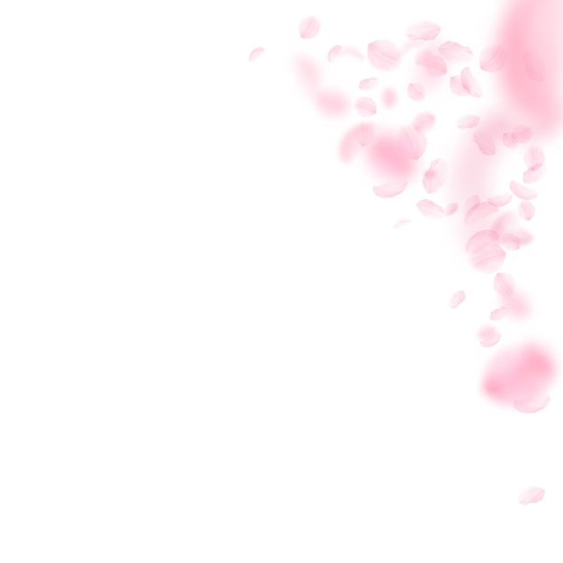 Pétales de Sakura tombant coin de fleurs roses romantiques pétales volants sur fond carré blanc Concept de romance d'amour Invitation de mariage curieuse