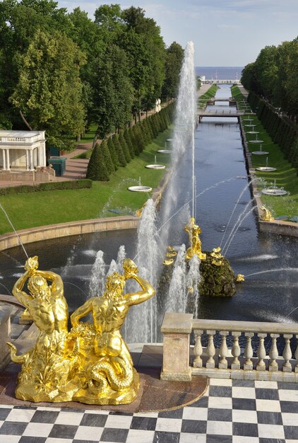 Peterhof Saint Petersburg Nizhny Park Vue en perspective de l'allée des fontaines et du canal Samson