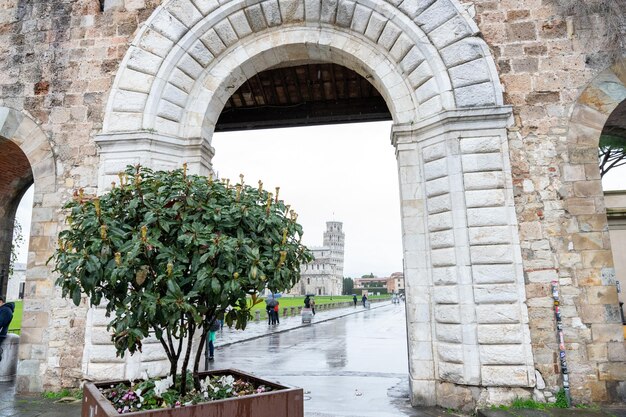 Un petit arbre est devant une grande voûte