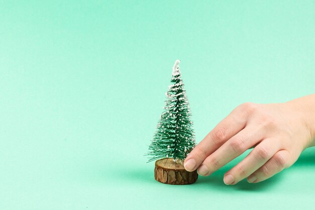 Petit arbre de Noël en main de femme sur un vert