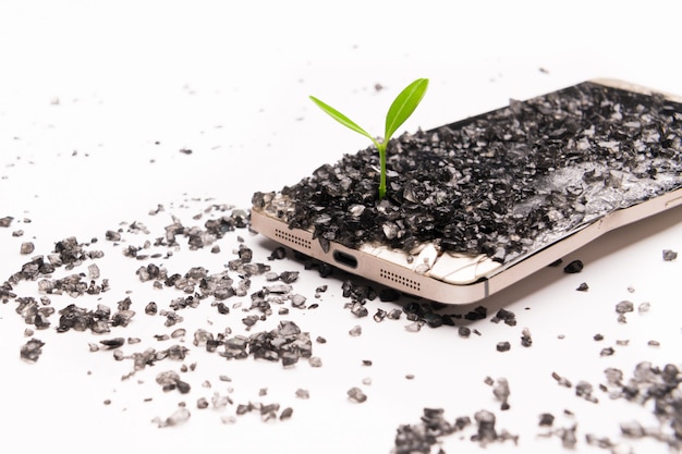 Petit arbre poussant sur un smartphone cassé, environnement, connaissances et innovation