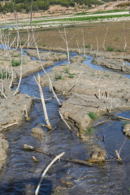 Petit bassin d'eau dans un champ de terre sèche et fissurée Réchauffement climatique et effet de serre