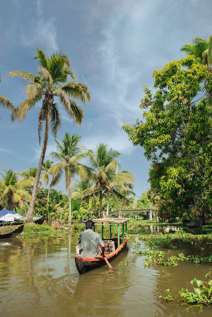 Petit bateau de tourisme sur le magnifique paysage de backwaters avec palmiers