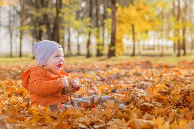 Petit bébé dans le parc d'automne ensoleillé