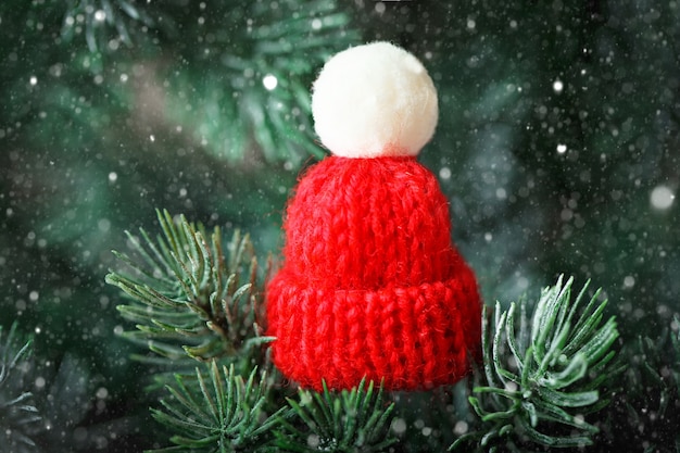 Petit bonnet tricoté sur l'arbre de Noël.
