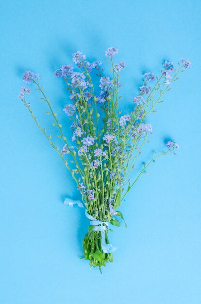 Petit bouquet de délicats myosotis sur fond bleu