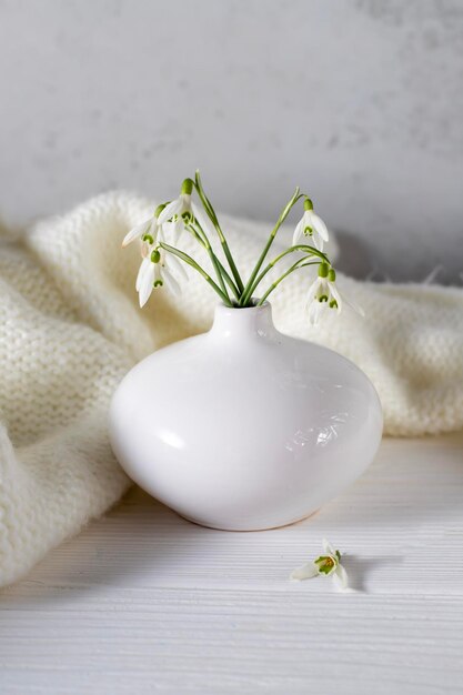 Un petit bouquet de fleurs blanches sur la table