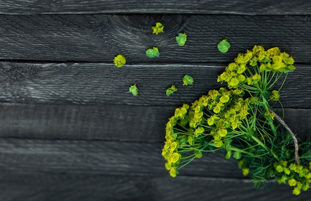 Un petit bouquet de fleurs sauvages est attaché avec une corde et se trouve sur un fond en bois