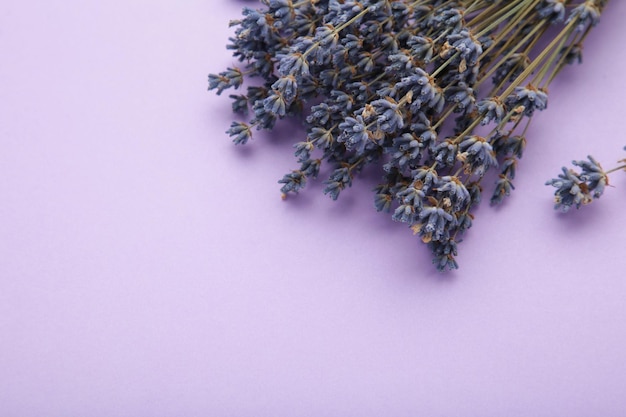 Petit bouquet de lavande séchée sur fond violet Vue supérieure