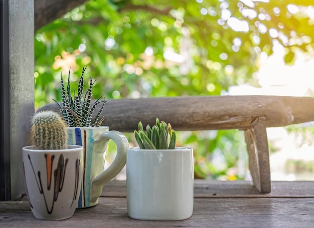 petit cactus beau dans la tasse de pot et de café sur bois bureau avec fond de flou