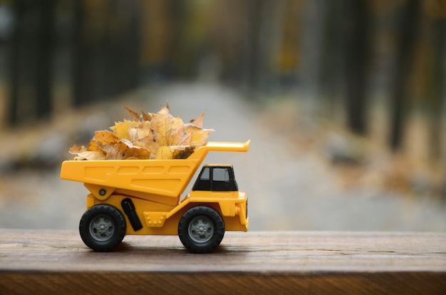 Un petit camion jouet jaune est chargé de feuilles jaunes tombées.