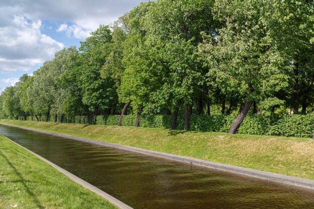 Un petit canal le long duquel coule la rivière