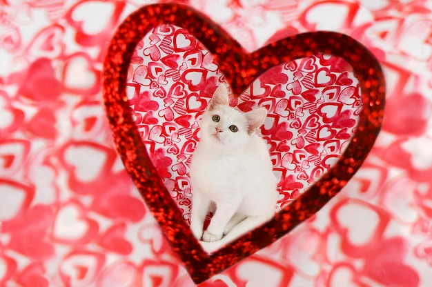 Photo un petit chaton blanc sur un fond avec des coeurs et des fleurs rouges brillantes