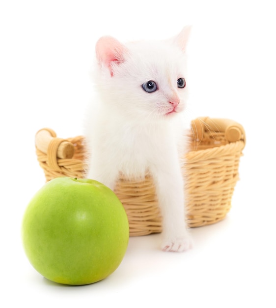 Petit chaton blanc et pomme