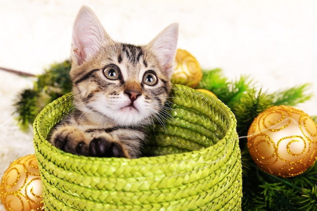 Petit chaton avec des décorations de Noël sur tapis